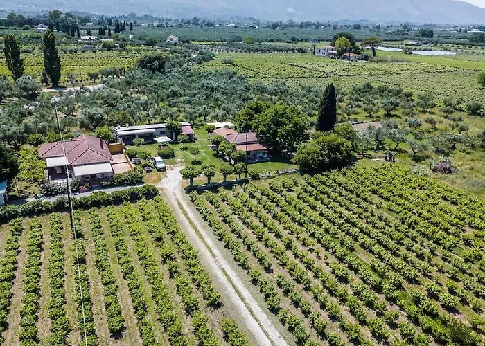 Authentic Country House In Zakynthos