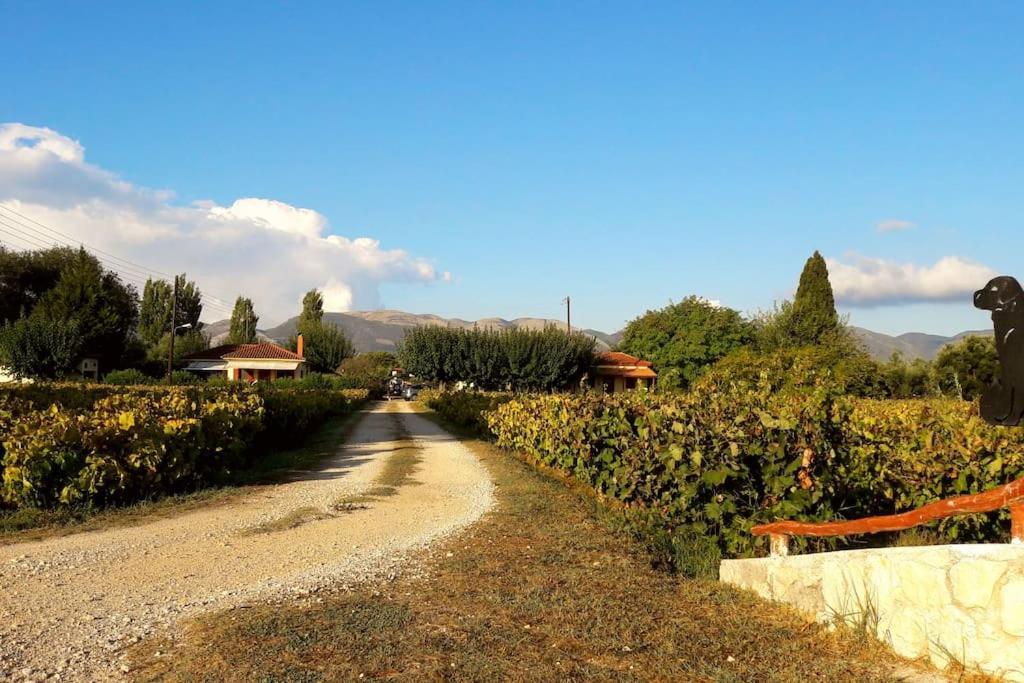 Authentic In Zakynthos Vakantiehuis *