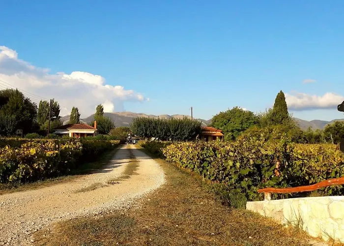 Authentic Country House In Zakynthos