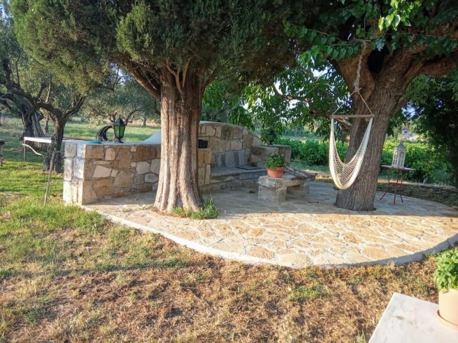 Authentic In Zakynthos Holiday home *