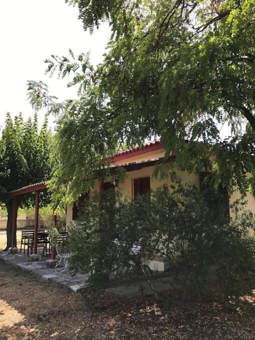 Authentic In Zakynthos Case de vacanță Ambelokipoi (Zakynthos)