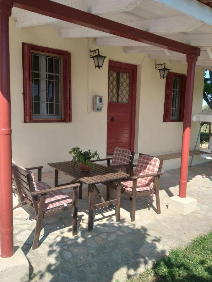Authentic In Zakynthos * Ambelokipoi (Zakynthos)
