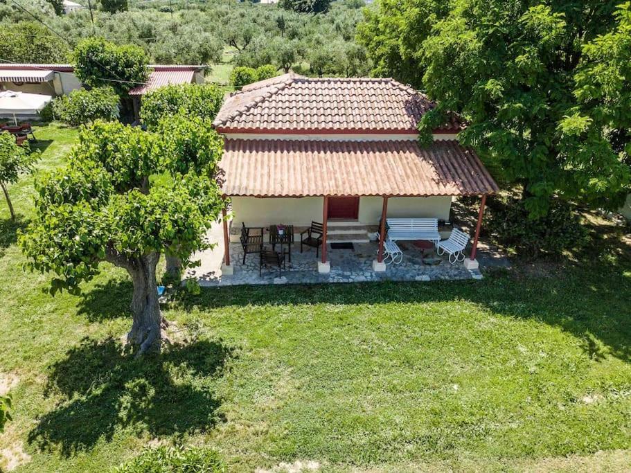Authentic In Zakynthos *